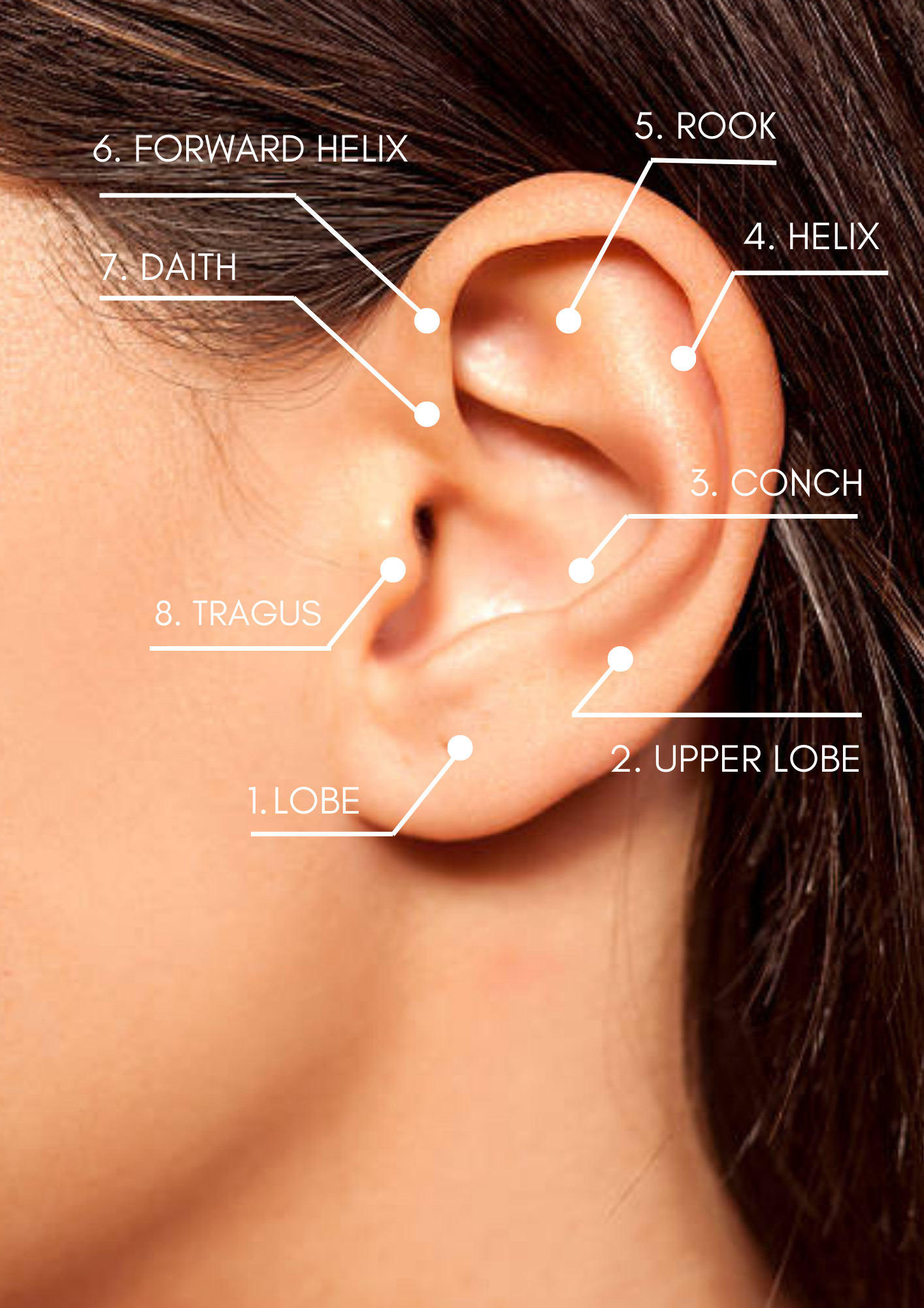 Piercing Party