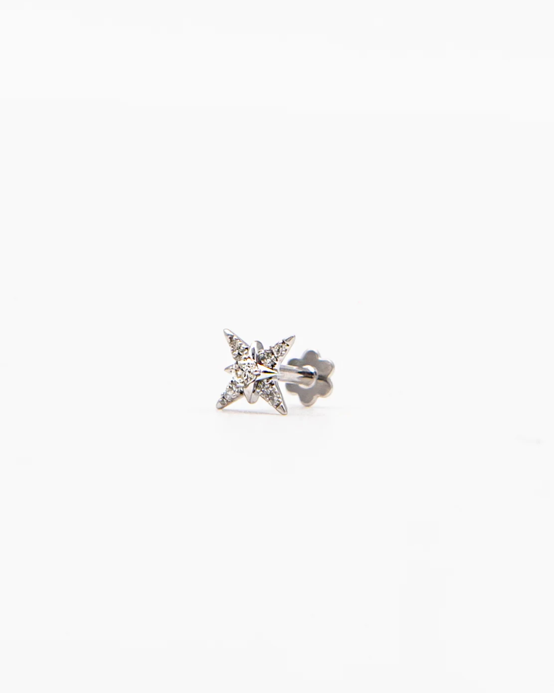 The Wild Jwls - Piercing Star, Or Blanc