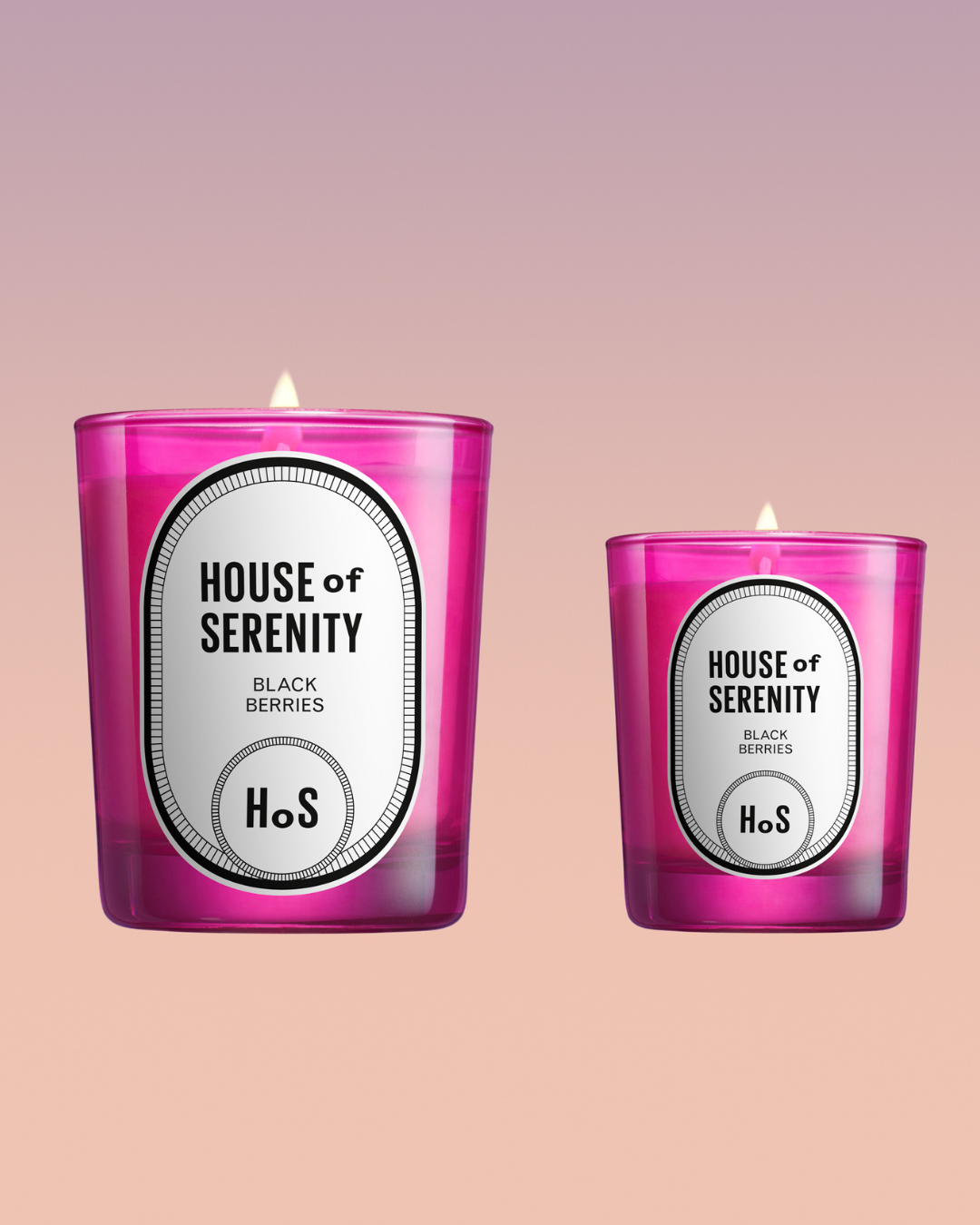 House of Serenity - Black Berries Candle